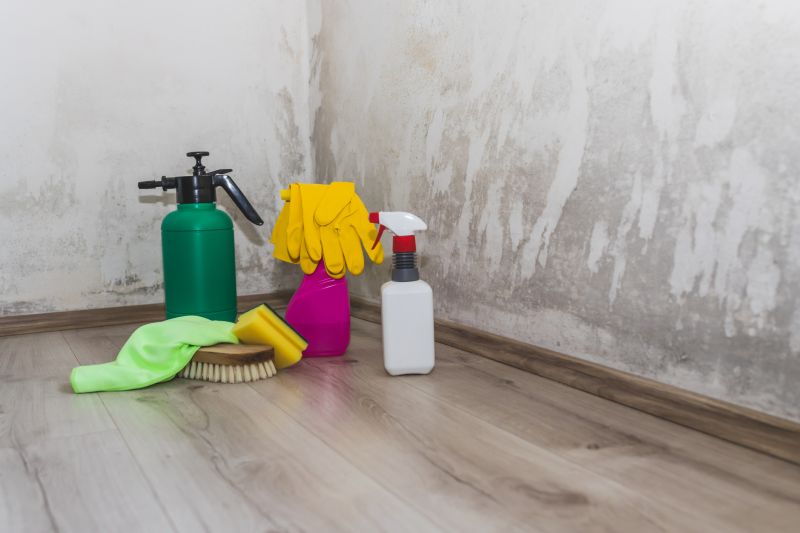 Mold Cleanup Service in Boca Raton, FL