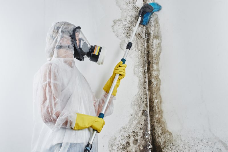 Mold Cleanup Service in Fort Lauderdale, FL