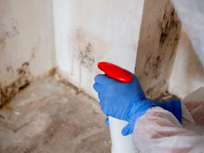 Mold Treatment Service in Dallas, TX