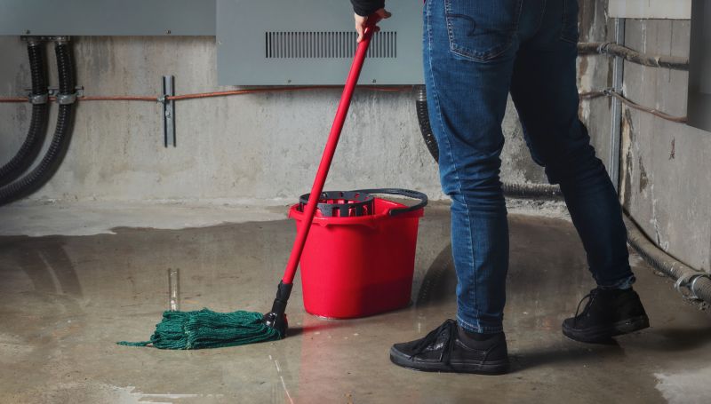 Basement Cleaning Service in Kent, WA
