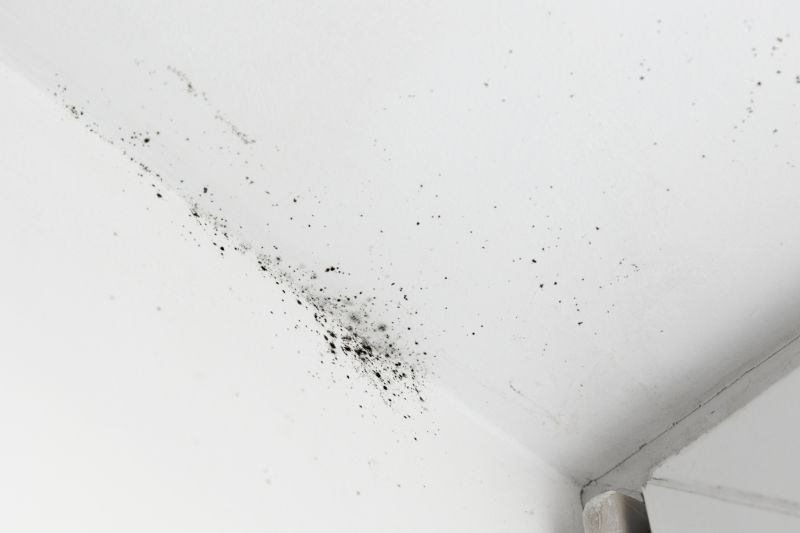 Ceiling Mold Removal in Boca Raton, FL