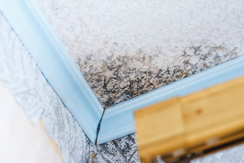 Ceiling Mold Removal in Fort Worth, TX