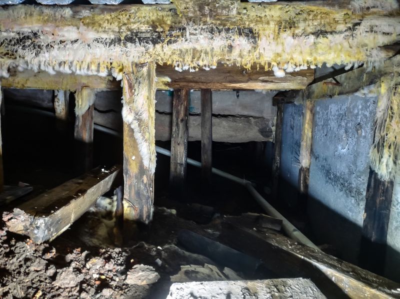 Crawlspace Mold Remediation in Frisco, TX