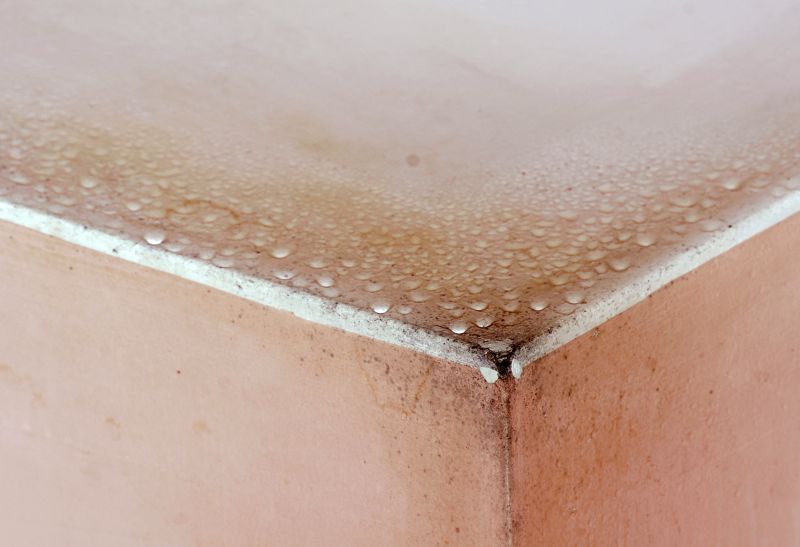 Garage Mold Remediation in Fort Lauderdale, FL