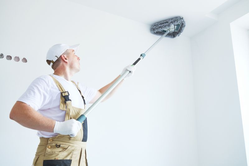 Ceiling and Wall Dusting