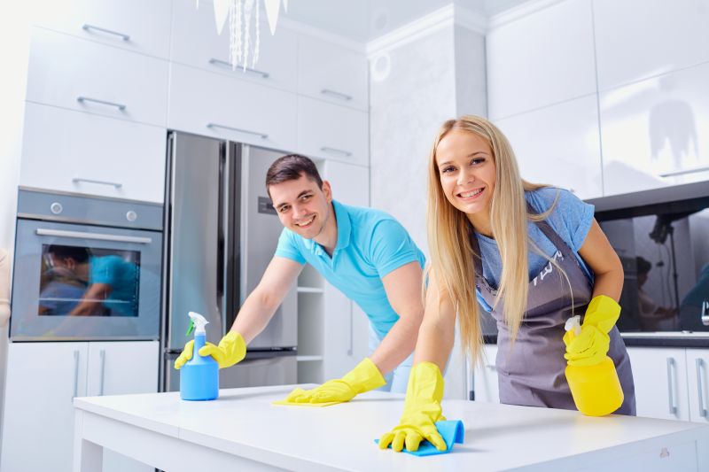 Kitchen Cleaning in Kent, WA