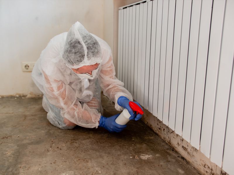 Mold Cleanup Service in Bergen County, NJ