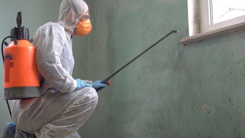 Mold Control in Fort Lauderdale, FL