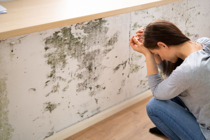 Mold Detection in Delray Beach, FL