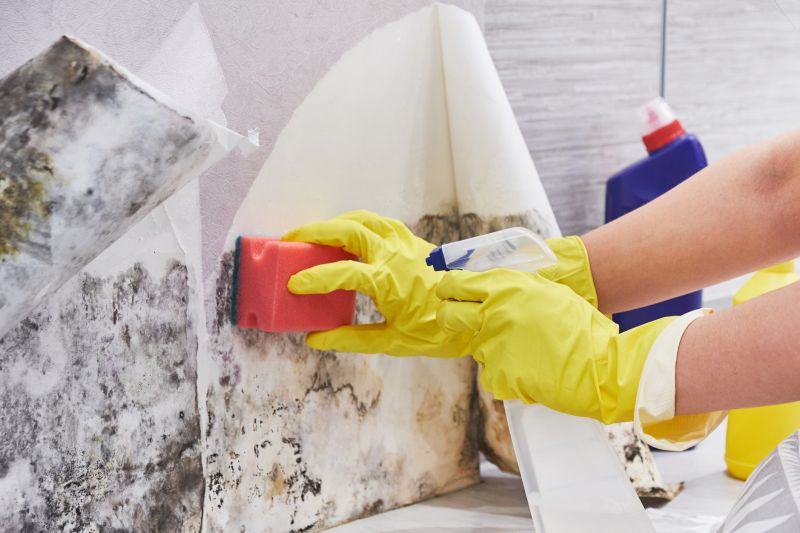 Mold Removal in Frisco, TX