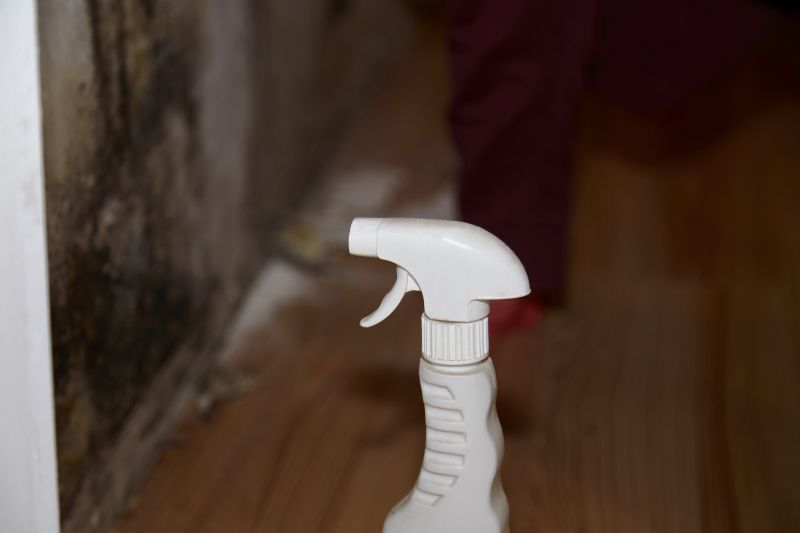 Mold Removal in Essex County, NJ