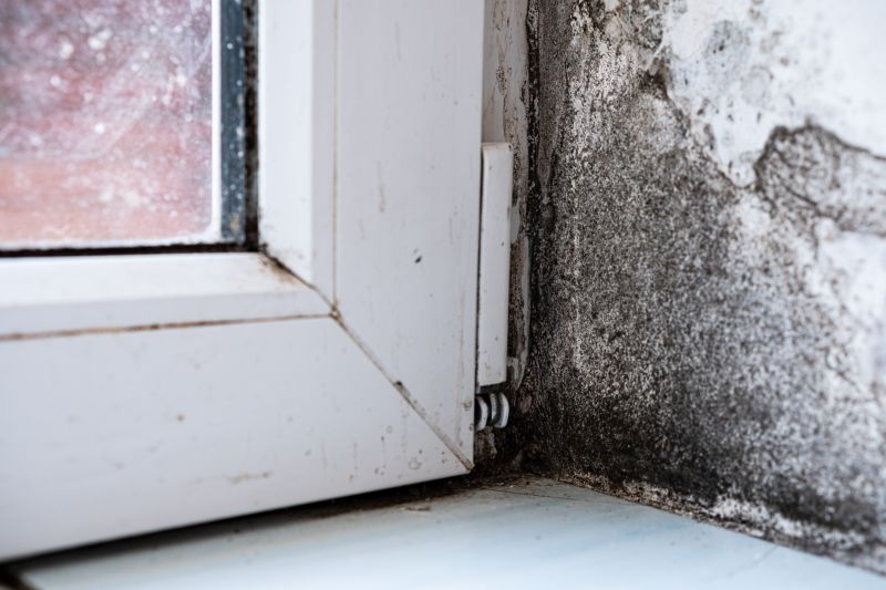 Mold Treatment Service in Broward County, FL