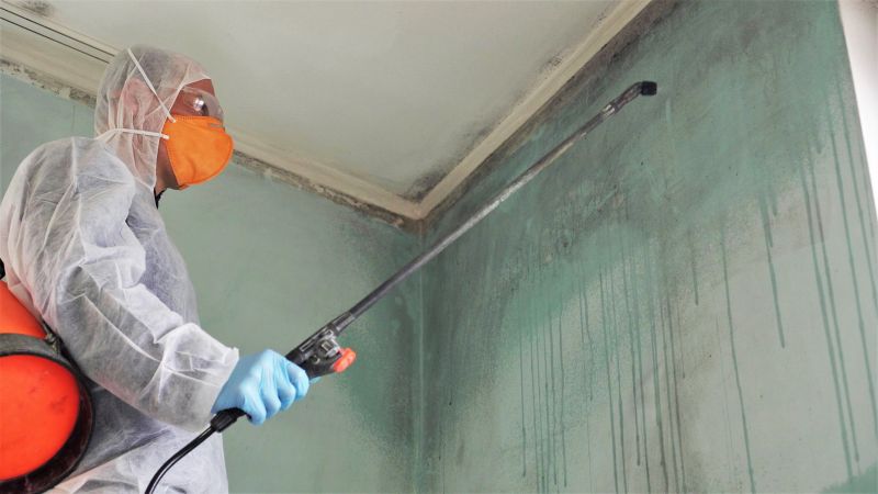 Mold Treatment Service in Essex County, NJ
