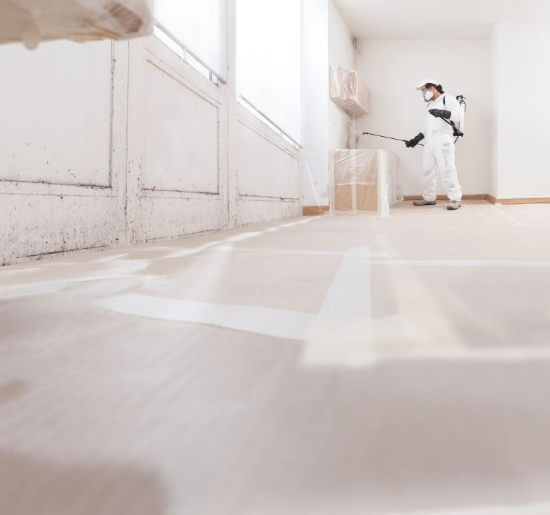 Mold Treatment Service in Essex County, NJ