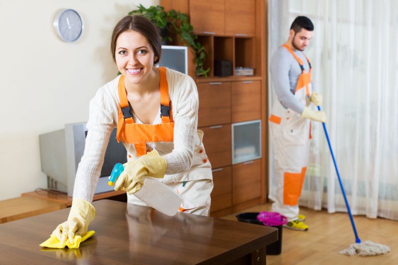 Reo Property Cleaning in Conroe, TX