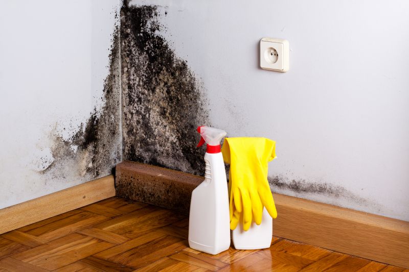 White Mold Mitigation in Essex County, NJ