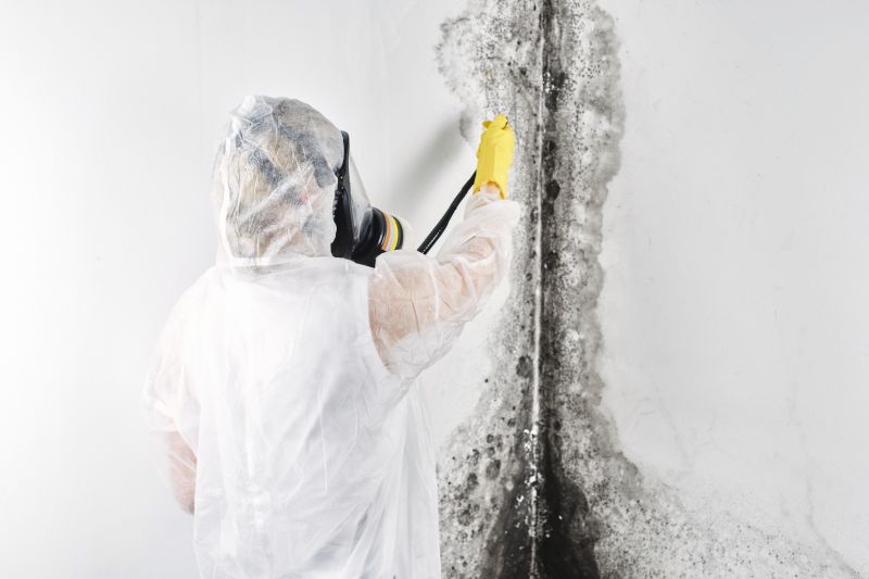 White Mold Mitigation in Fort Lauderdale, FL